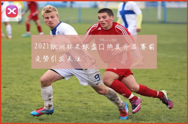 2021欧洲杯足球盘囗热度升温 赛前走势引发关注