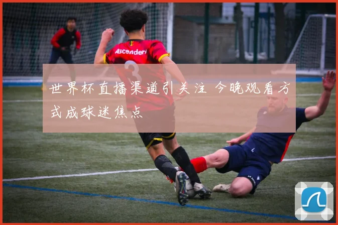 世界杯直播渠道引关注 今晚观看方式成球迷焦点