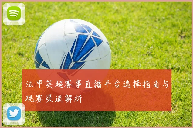 法甲英超赛事直播平台选择指南与观赛渠道解析