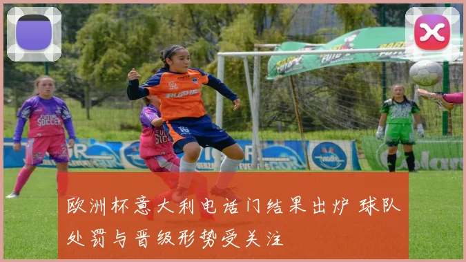 欧洲杯意大利电话门结果出炉 球队处罚与晋级形势受关注