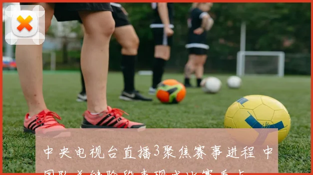中央电视台直播3聚焦赛事进程 中国队关键阶段表现成比赛看点