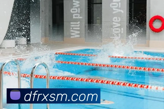 压球首页平台生态图